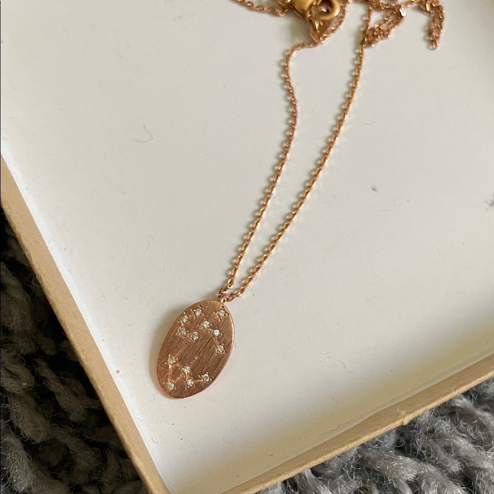 Leo ♌️ Astrological Sign Rose Gold Necklace with Clasp Closure